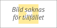 Skruv till Rollerskena 2-pack i gruppen Förvaring / All Förvaring / Skåpsinredning hos Beslag Online (340010007)