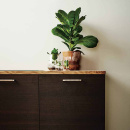 Handtag Rattan - 160mm - Borstad Mässing