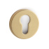 Nyckelskylt R-E - Borstad Guld (Europeisk standard) Nyckelskylt R-E - Borstad Guld (Europeisk standard)