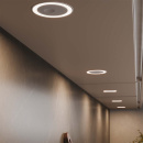 LED-Spot Holl TDM D-M - Mattsvart