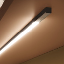 Bländskydd Nexus Night & Day - 2000mm - Utanpåliggande