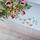 Knopp Duke - 32mm - Borstad Mässing