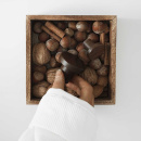 Krok Circum - Valnöt